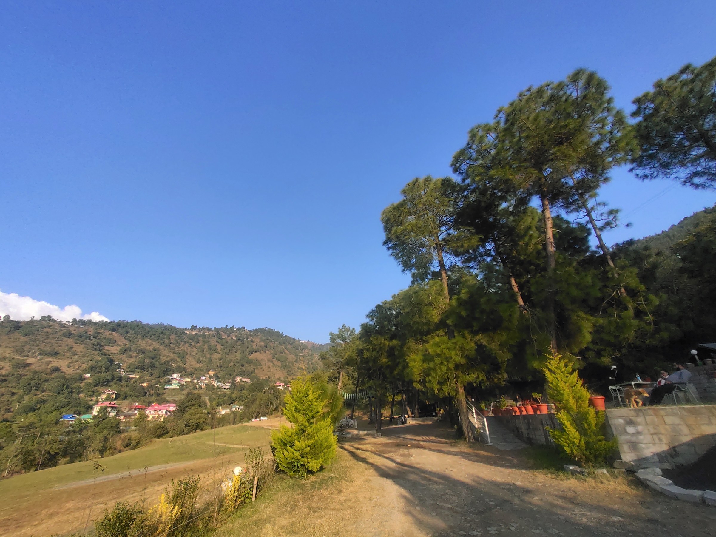 Scenic valley view with pine trees and resort terrace at The Glide Inn Junga Shimla