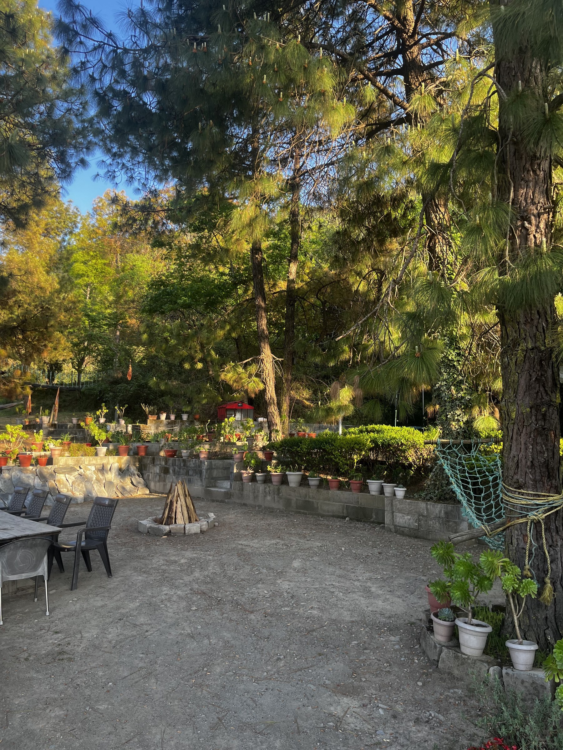 The resort garden bonfire area at dusk with pine trees and flower pots at The Glide Inn