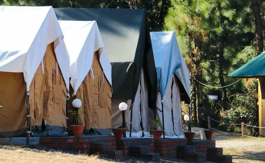 Fixed forest tent camping at The Glide Inn Shimla